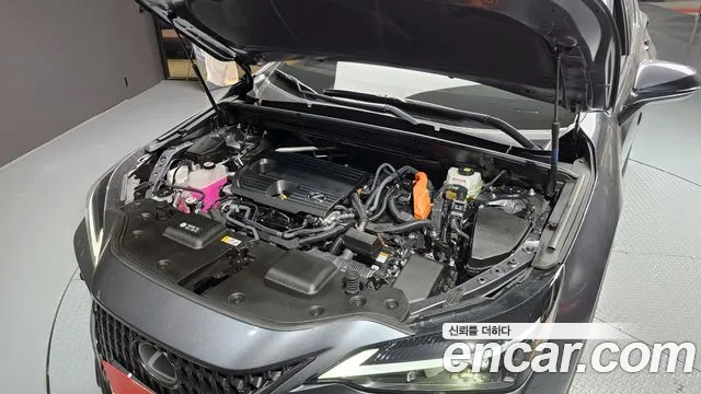 Lexus NX 2024