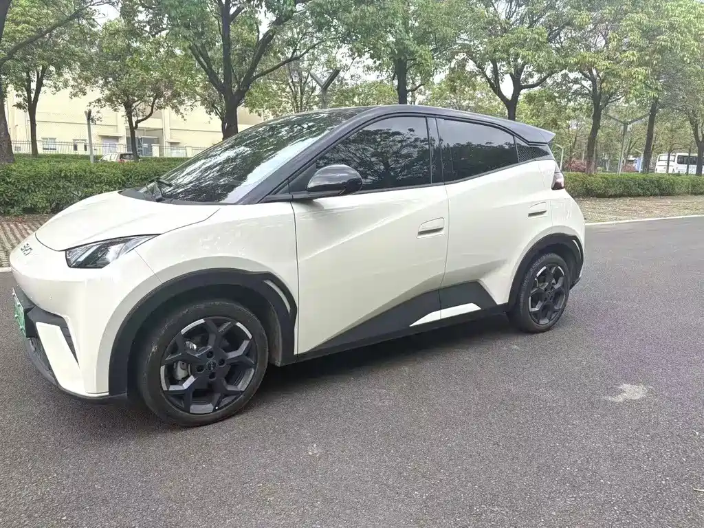 BYD Seagull 2024