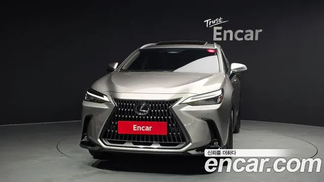 Lexus NX 2024
