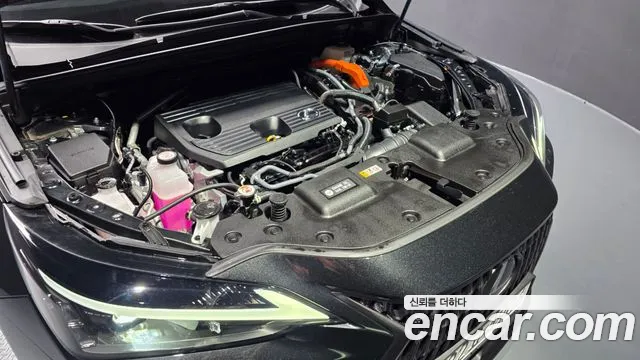 Lexus NX 2024