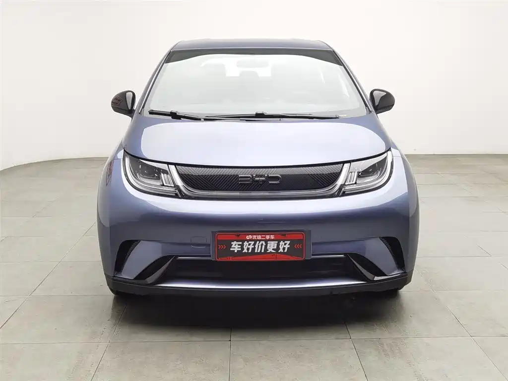 BYD Dolphin 2024