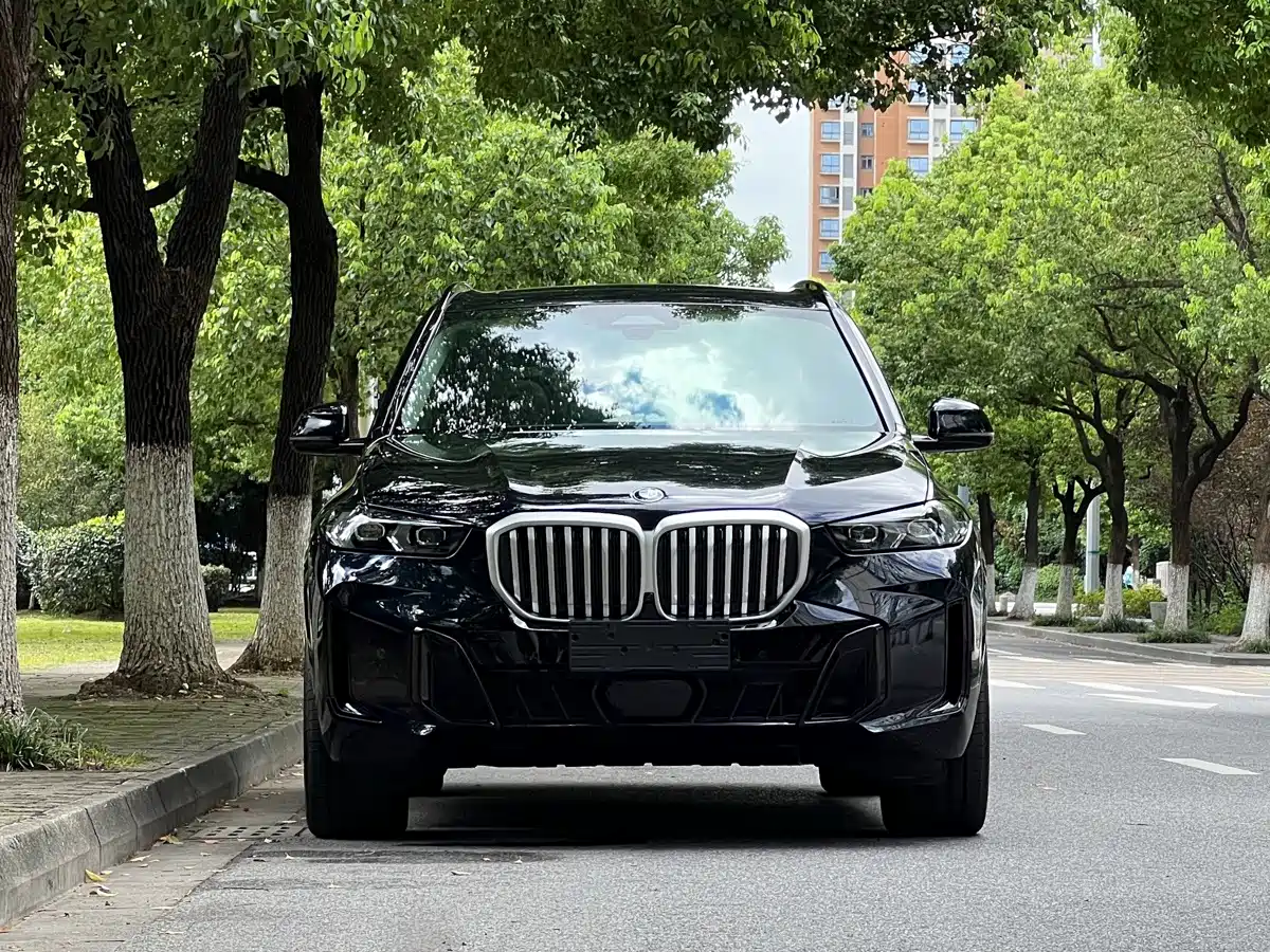 BMW X5 2024