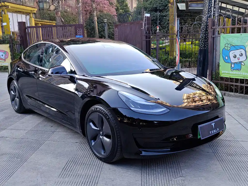 Tesla Model 3 2021