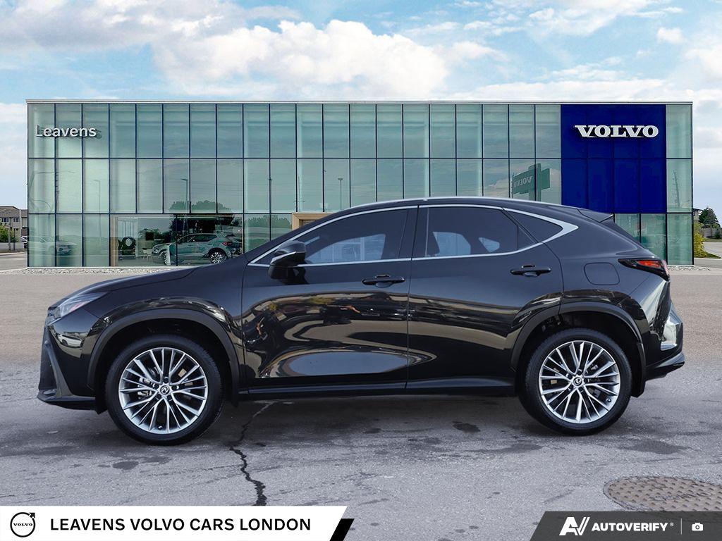 Lexus NX 2025