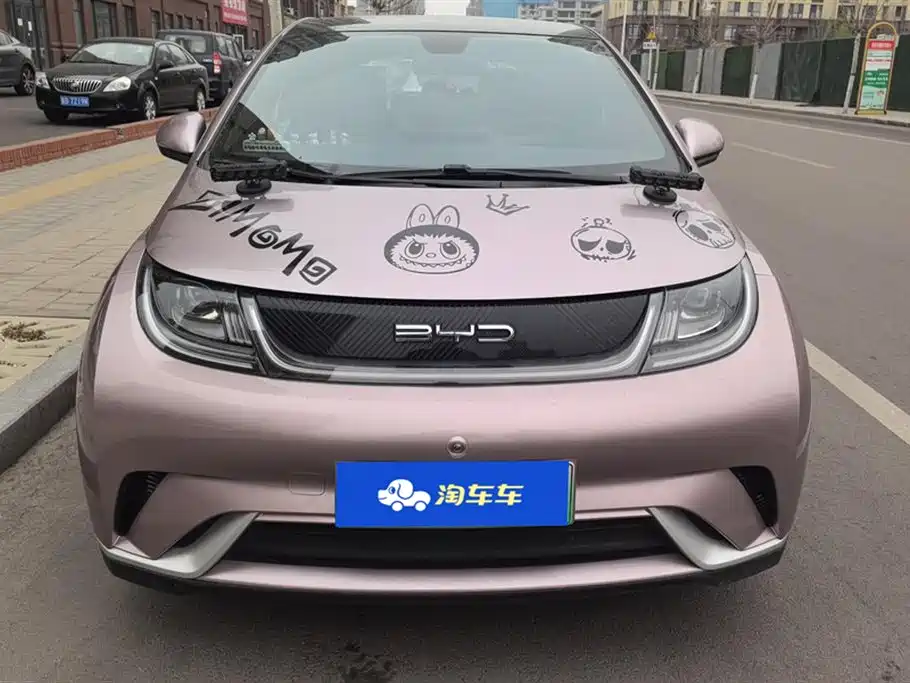 BYD Dolphin 2022