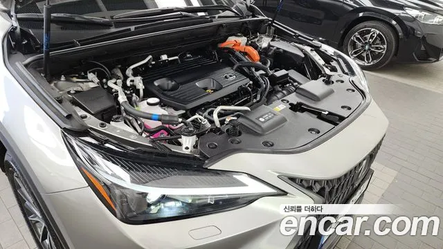 Lexus NX 2025