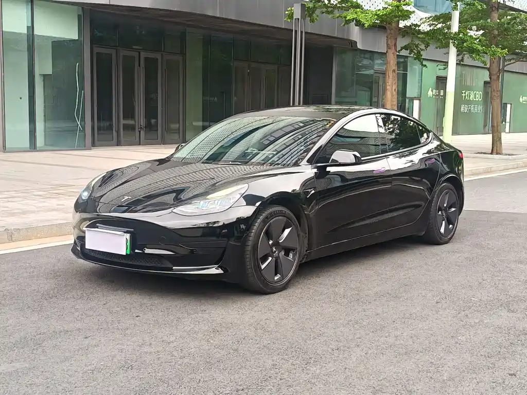 Tesla Model 3 2021