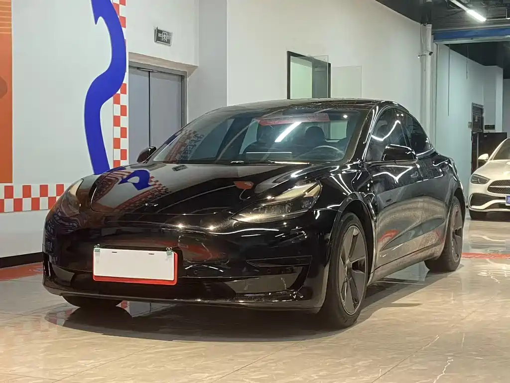 Tesla Model 3 2021