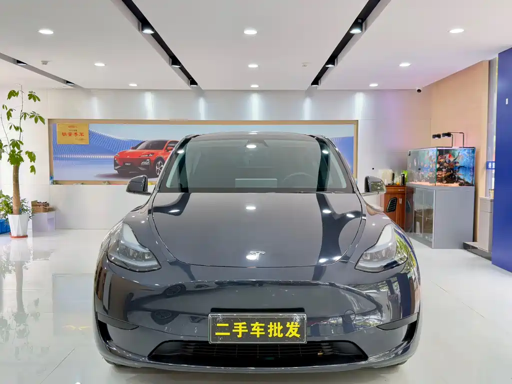 Tesla Model Y 2024