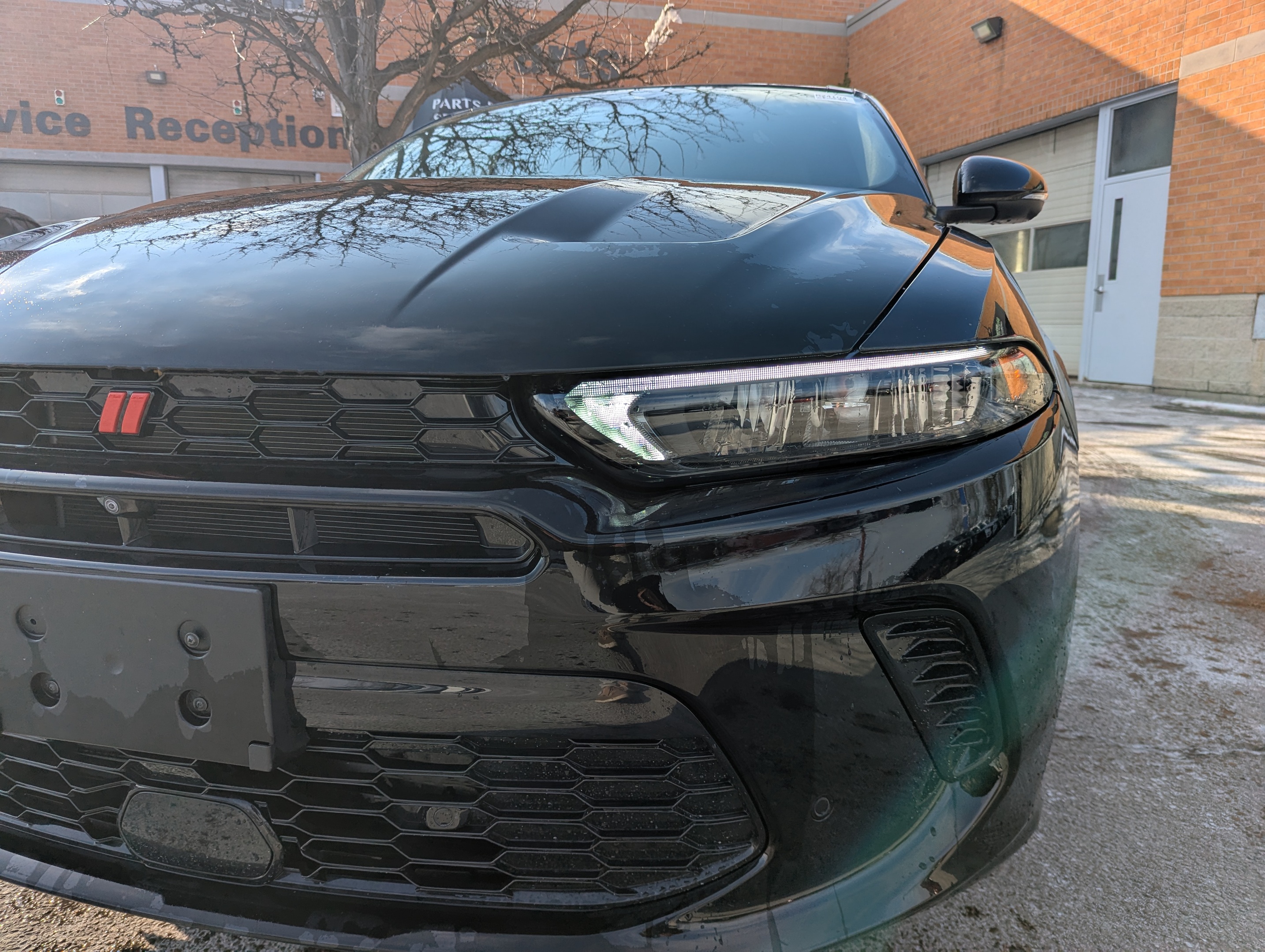 Dodge Hornet 2024