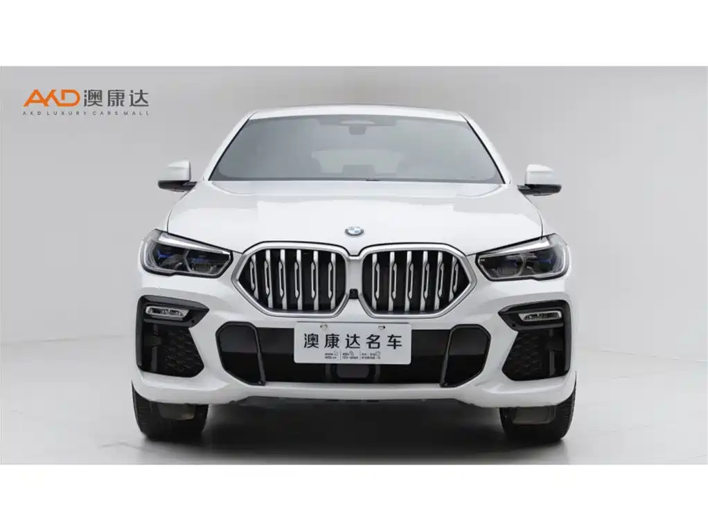 BMW X6 2021