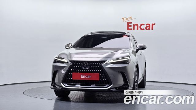 Lexus NX 2025