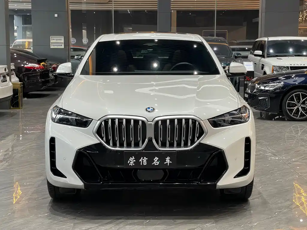 BMW X6 2024