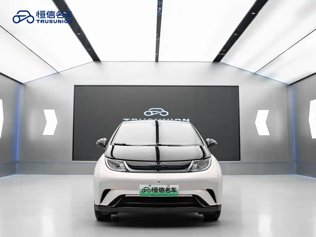 BYD Dolphin 2024