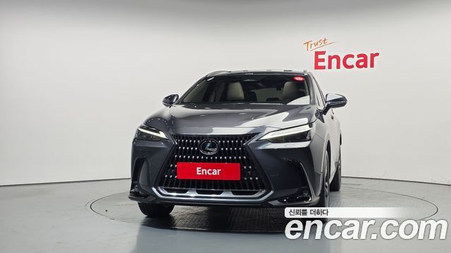 Lexus NX 2024