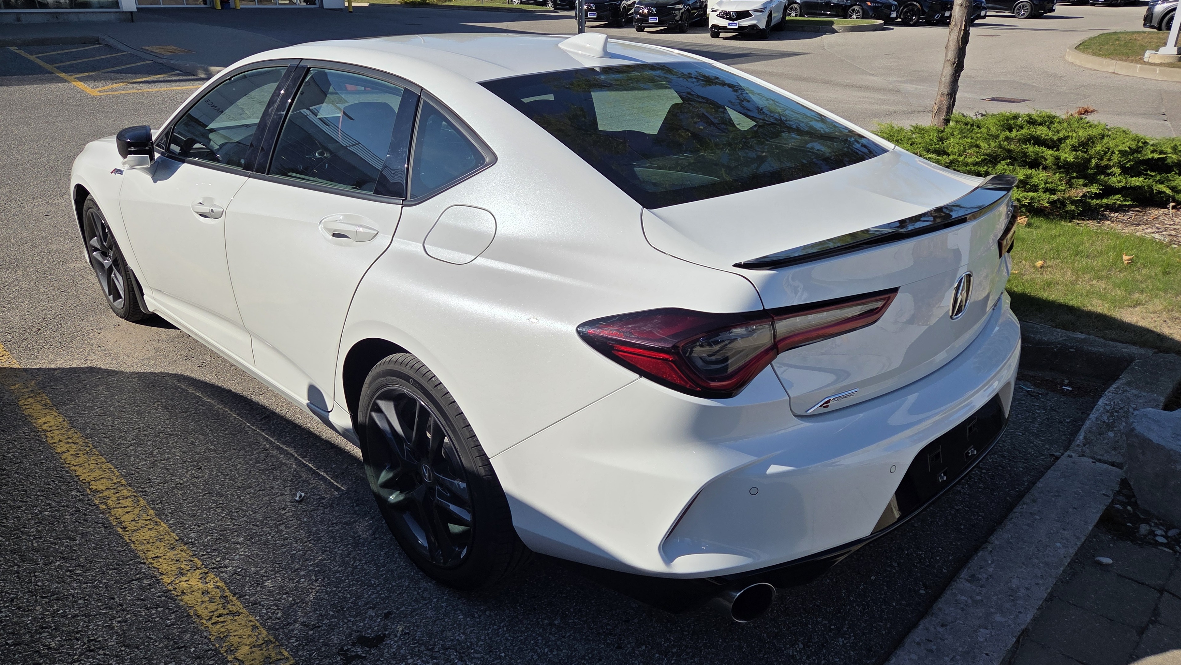 Acura TLX 2025