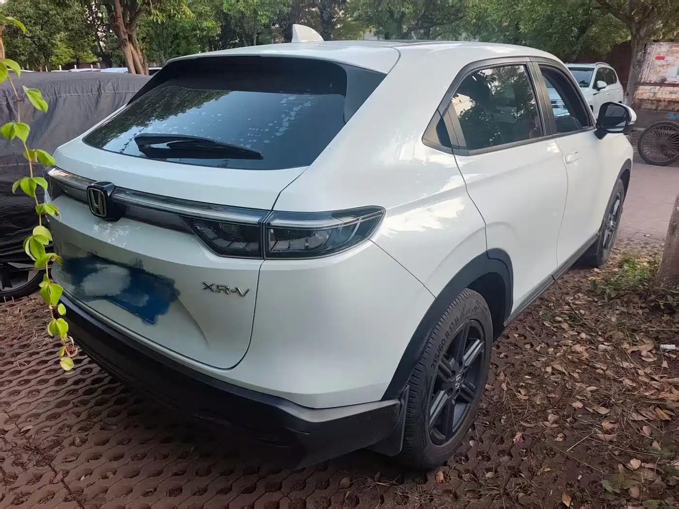 Honda XR-V 2023