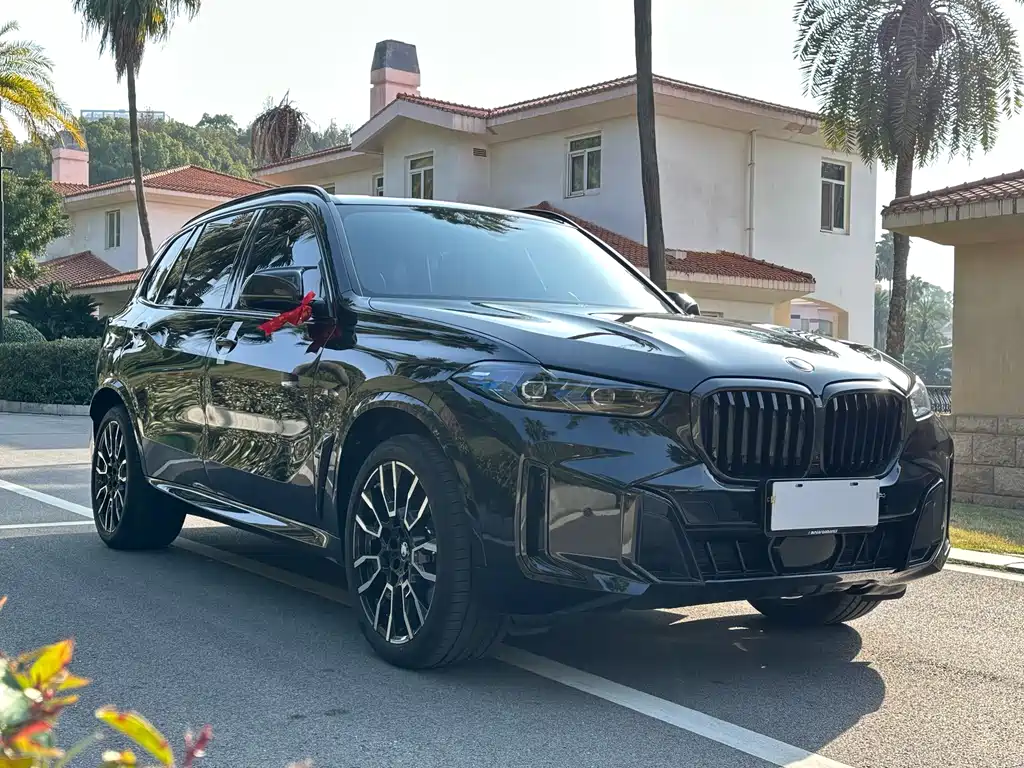 BMW X5 2024