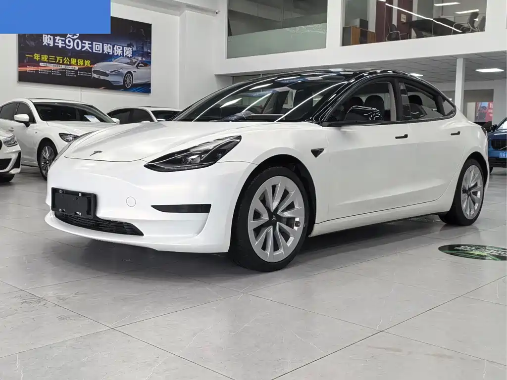 Tesla Model 3 2021