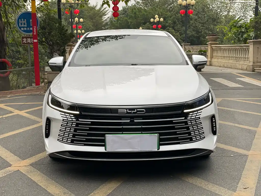 BYD Destroyer 05 2024