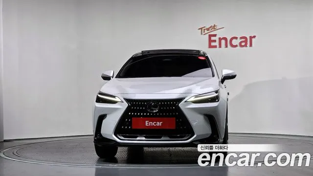 Lexus NX 2024