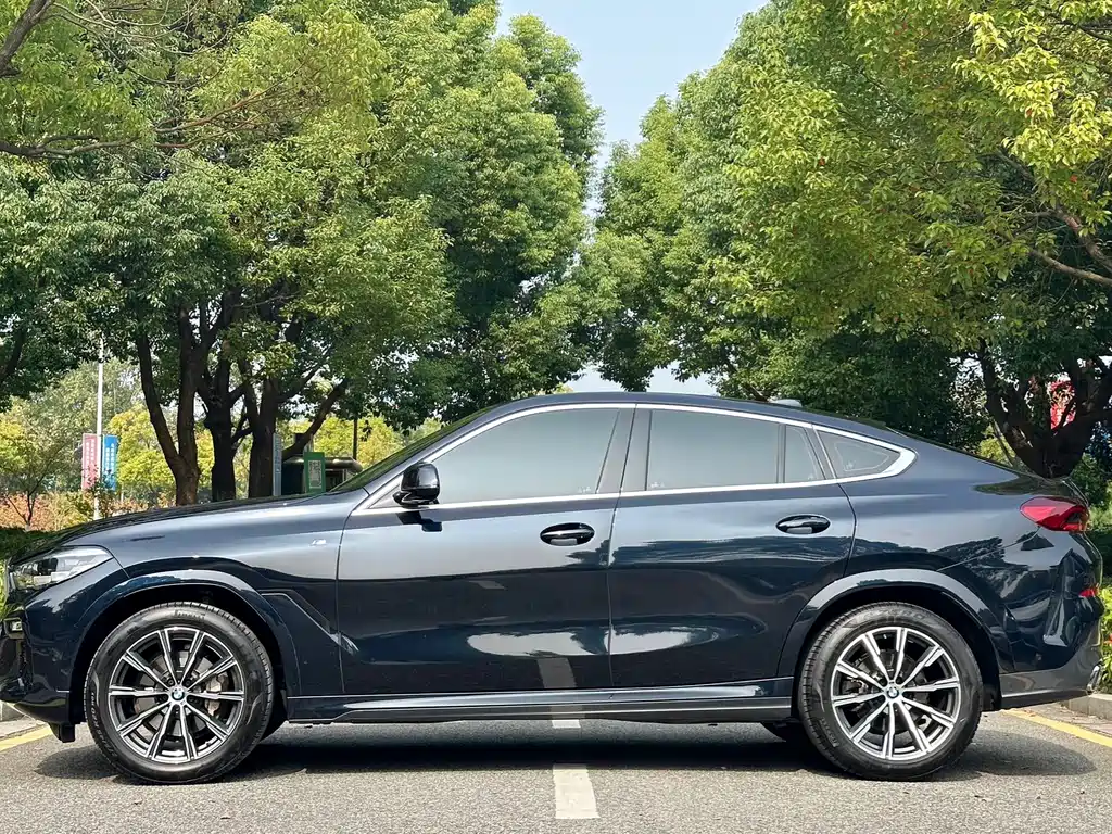BMW X6 2021