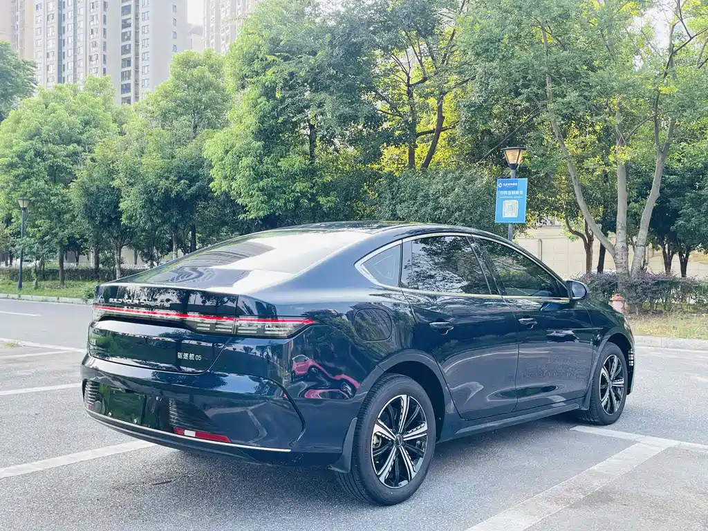 BYD Destroyer 05 2024