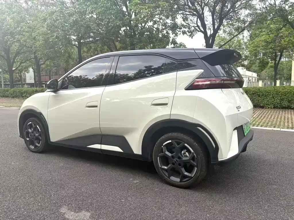 BYD Seagull 2024