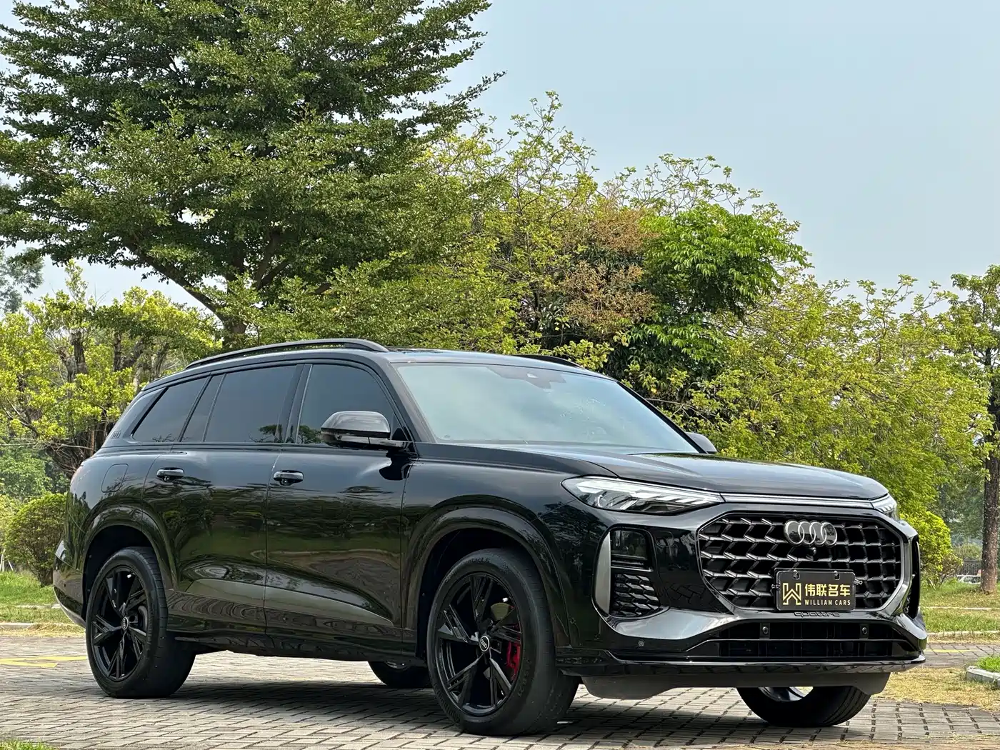 Audi Q6 2024