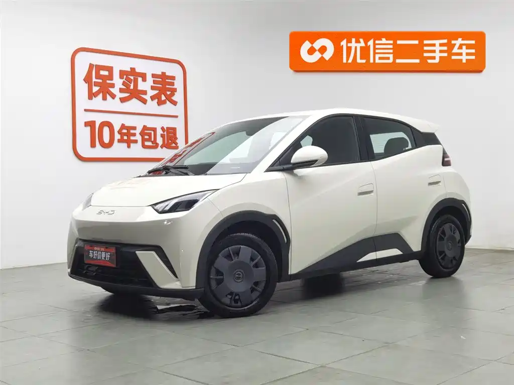 BYD Seagull 2024