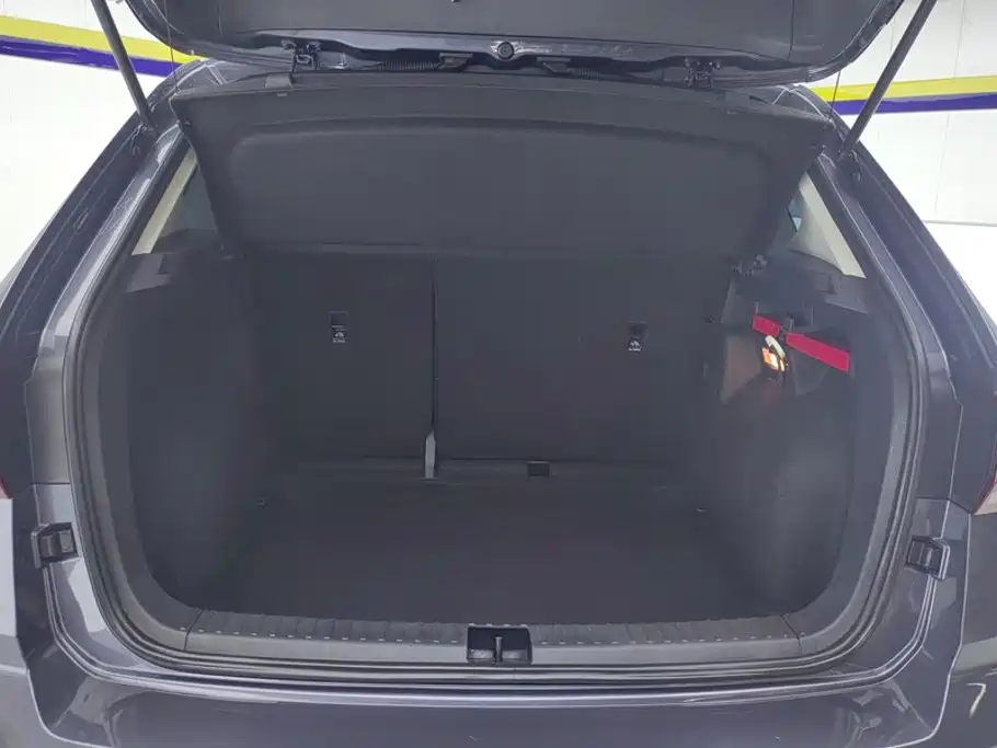 Volkswagen Tharu 2021