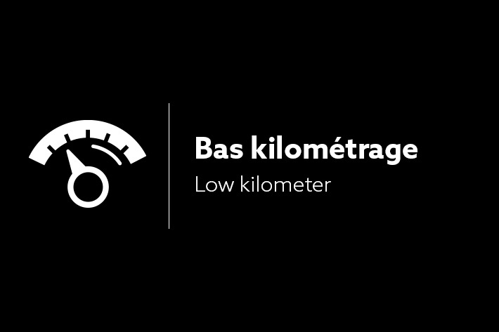 Lexus RX 2022