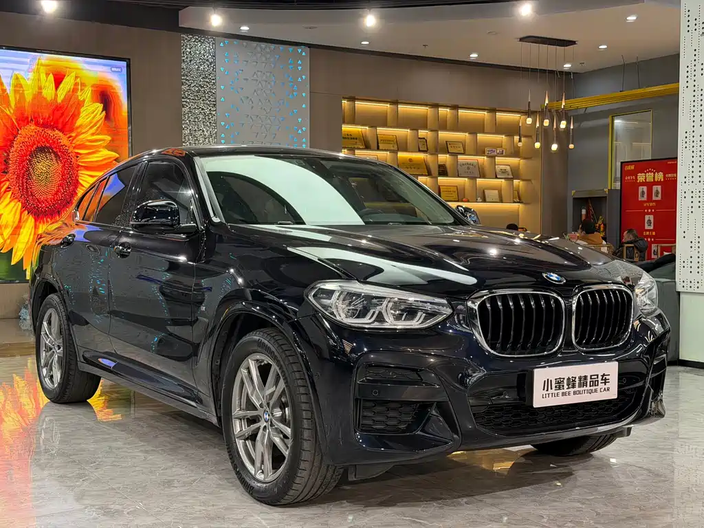 BMW X4 2021