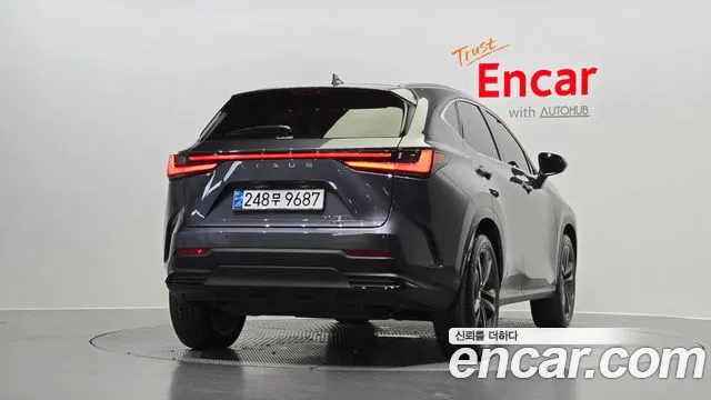Lexus NX 2024