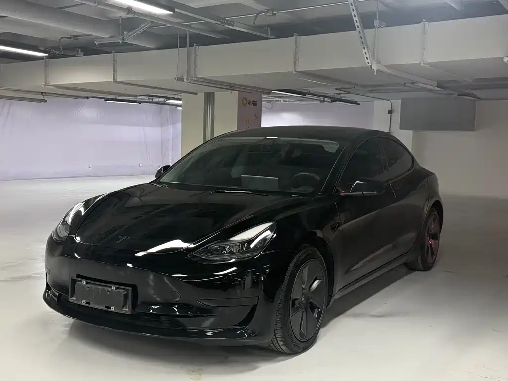 Tesla Model 3 2021