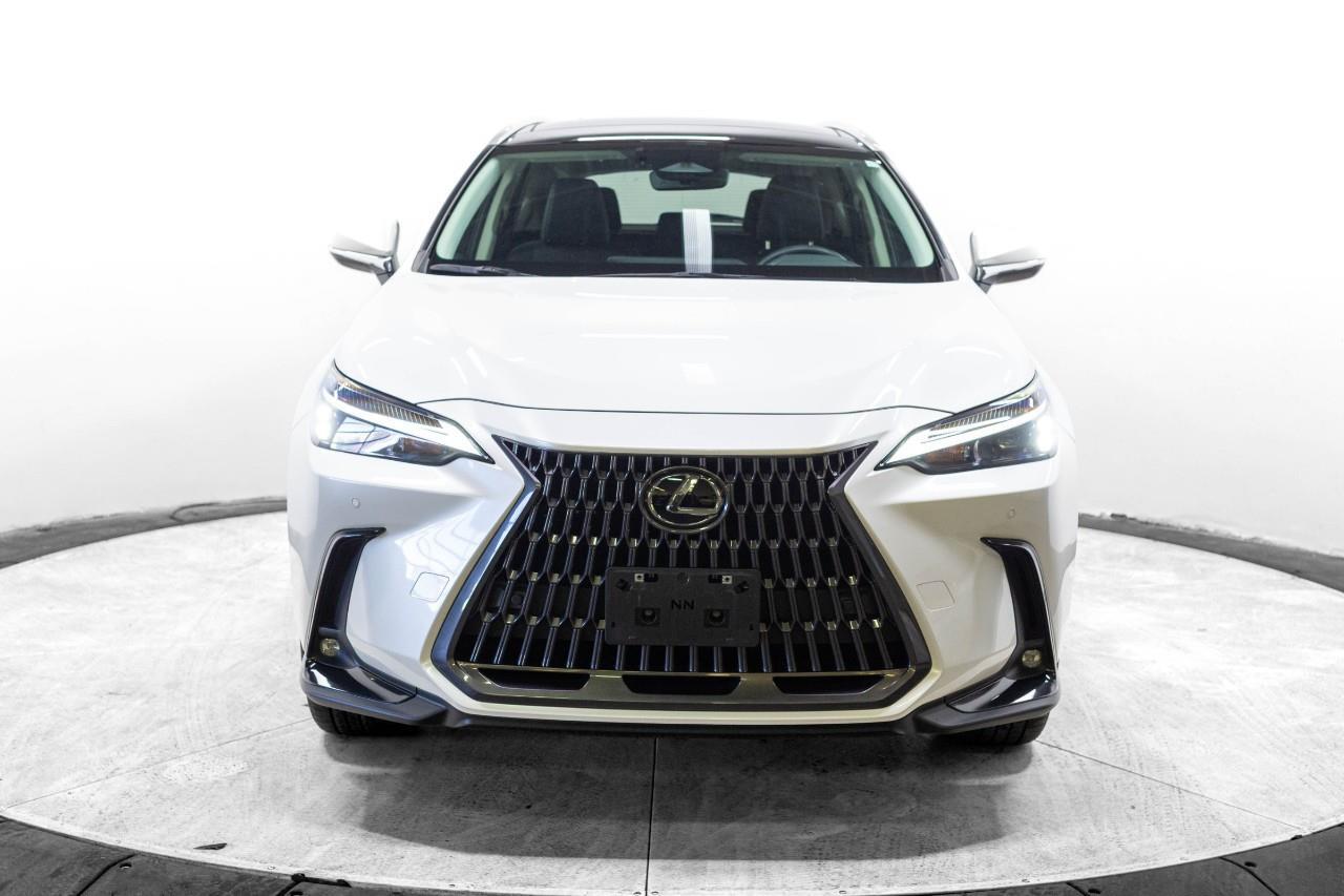 Lexus NX 2024