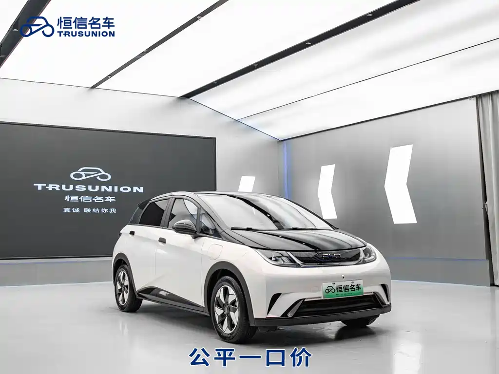 BYD Dolphin 2024