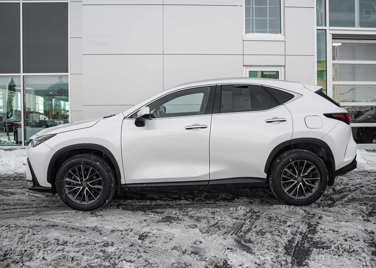 Lexus NX 2022
