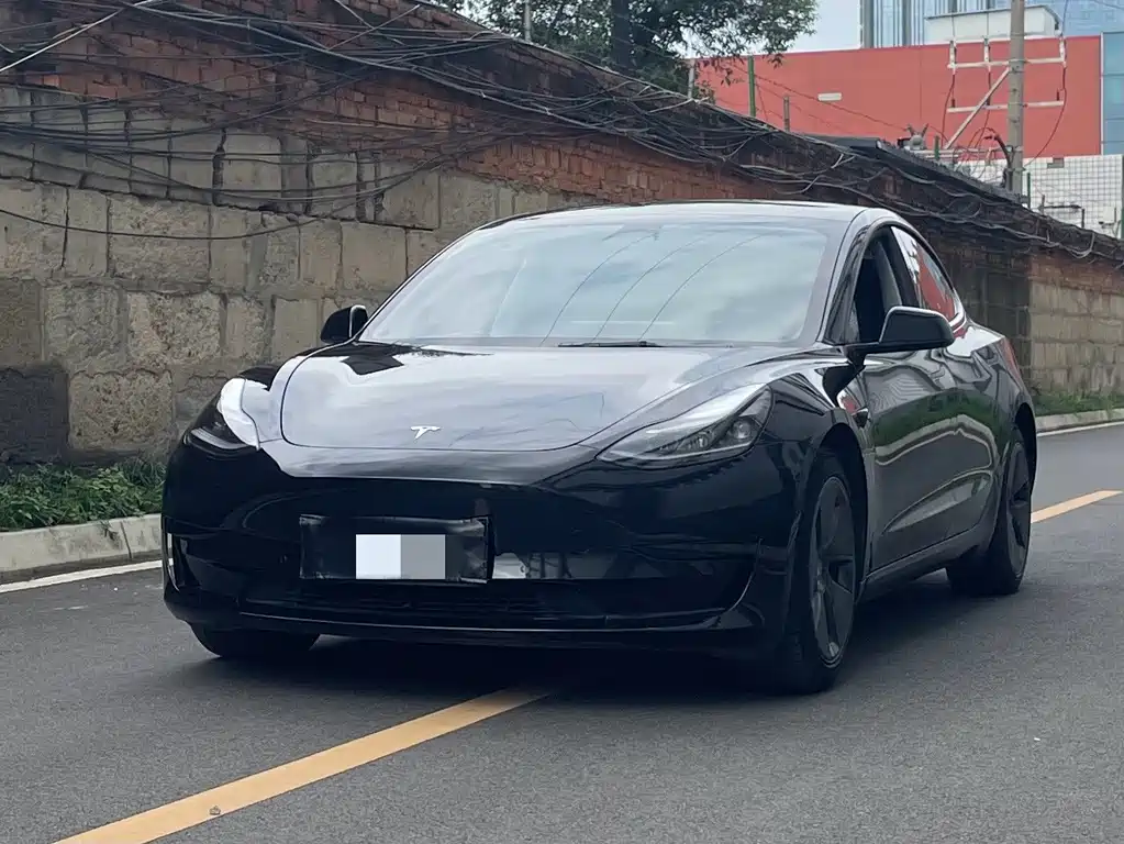 Tesla Model 3 2021