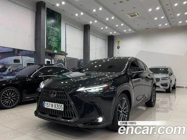 Lexus NX 2023