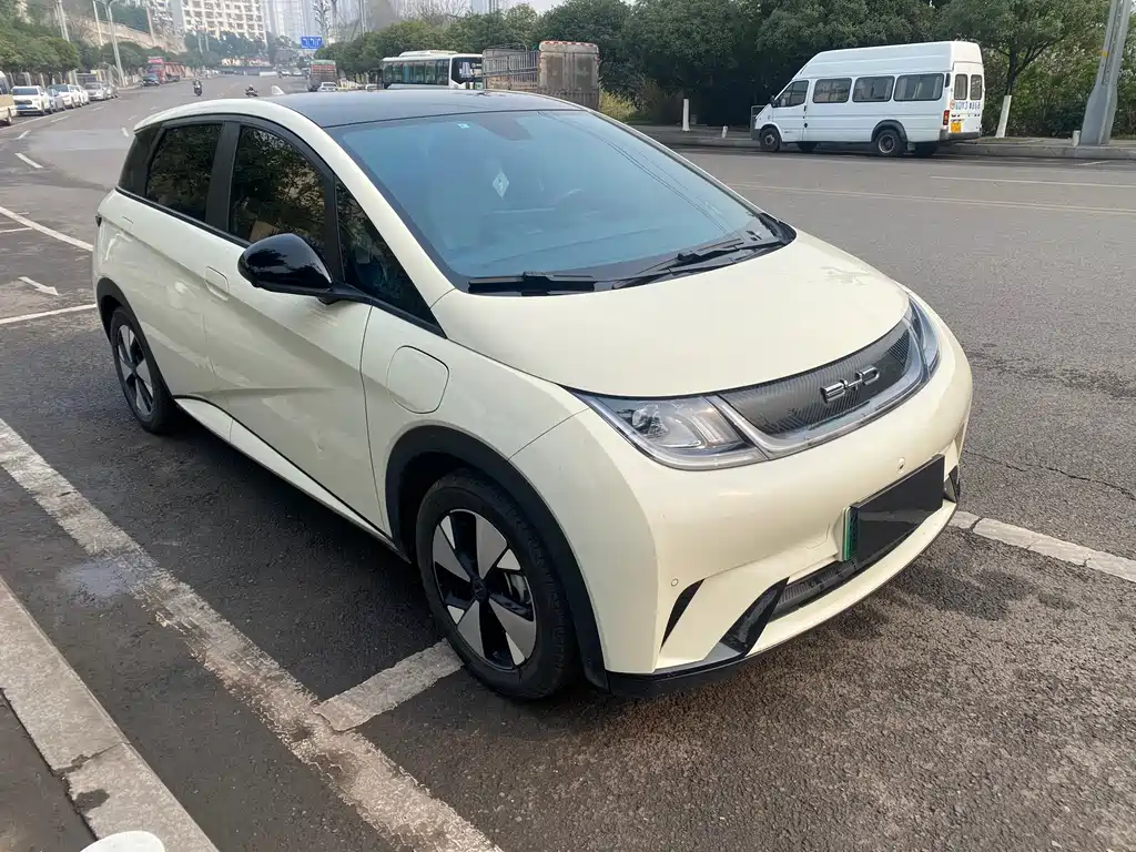 BYD Dolphin 2023