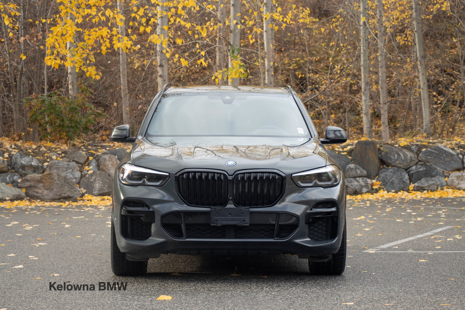 BMW X5 2022