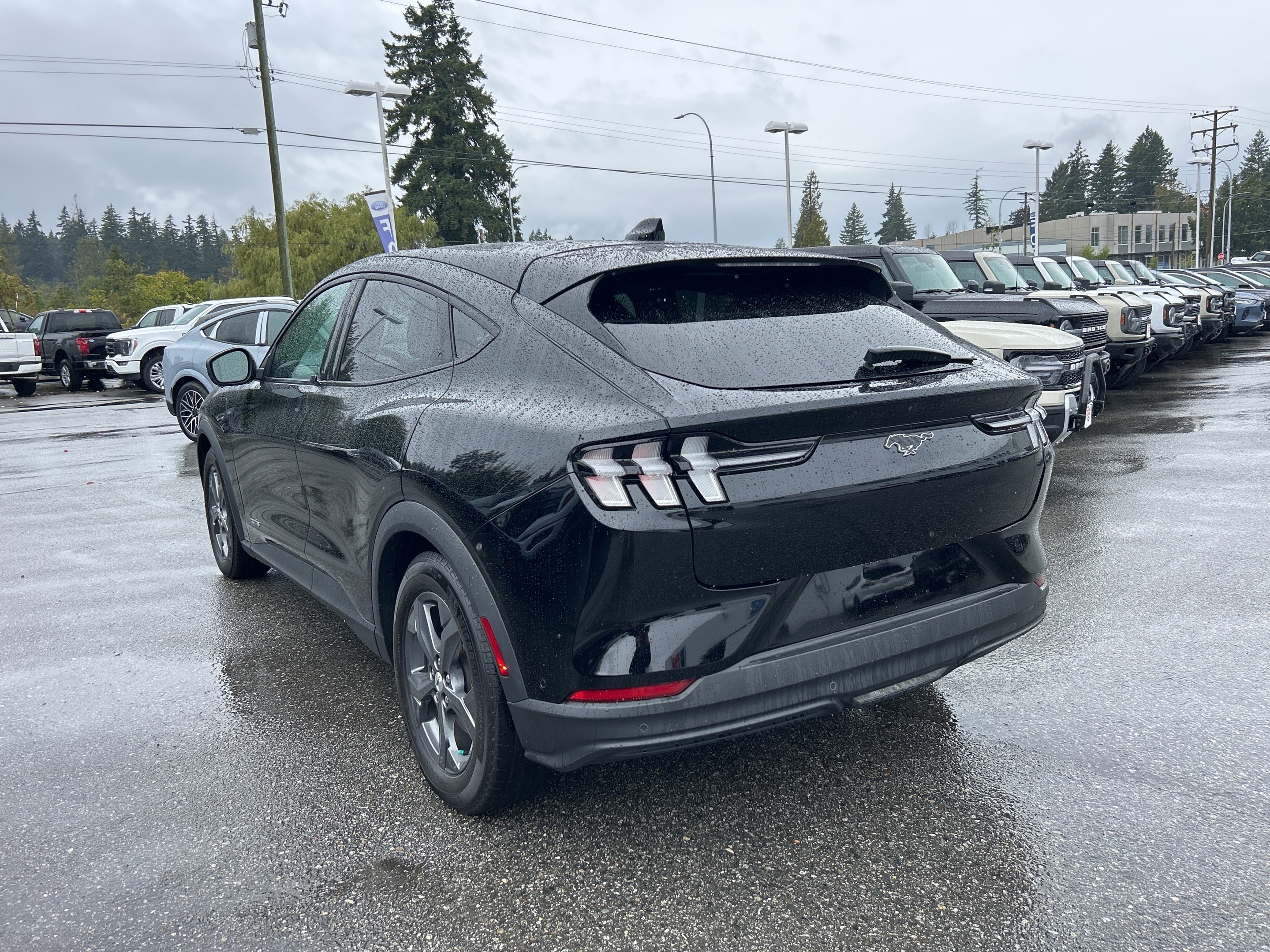 Ford Mustang Mach-E 2021