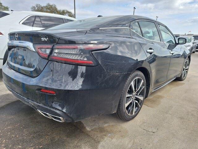 Nissan Maxima 2023