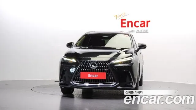 Lexus NX 2022