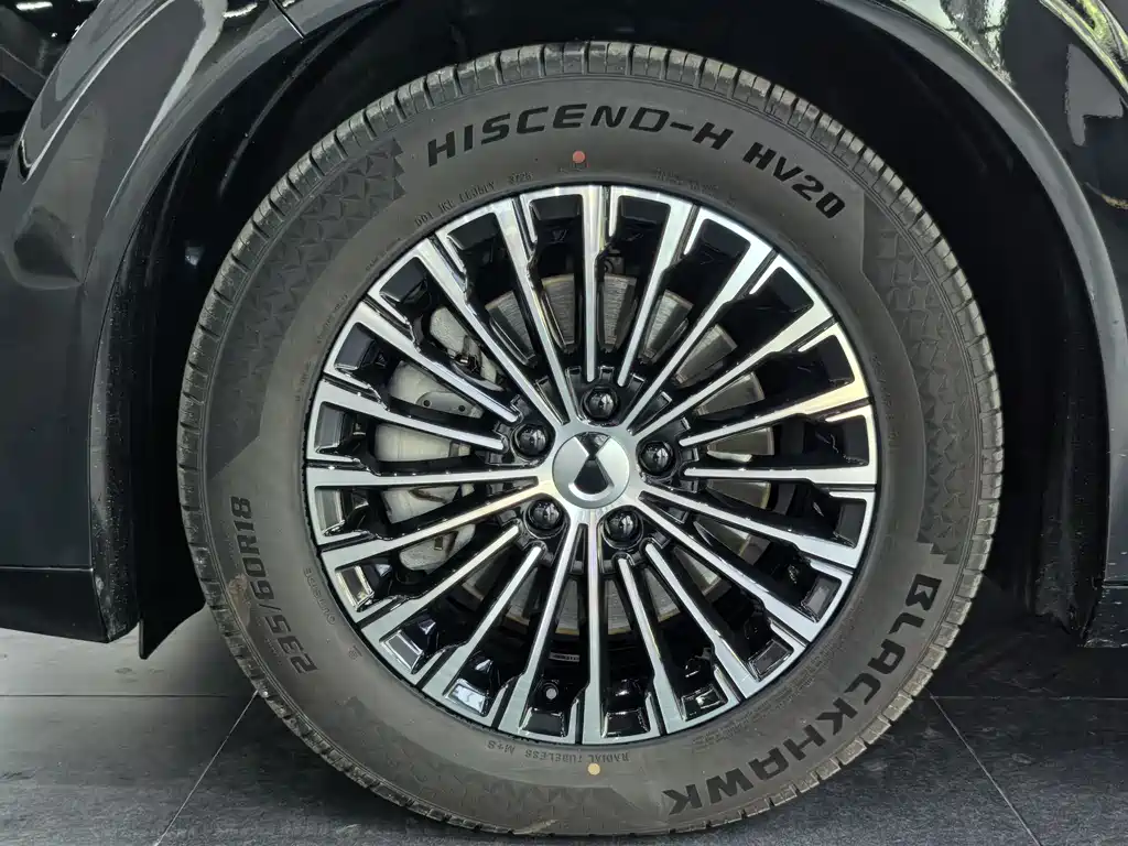 Denza D9 2023