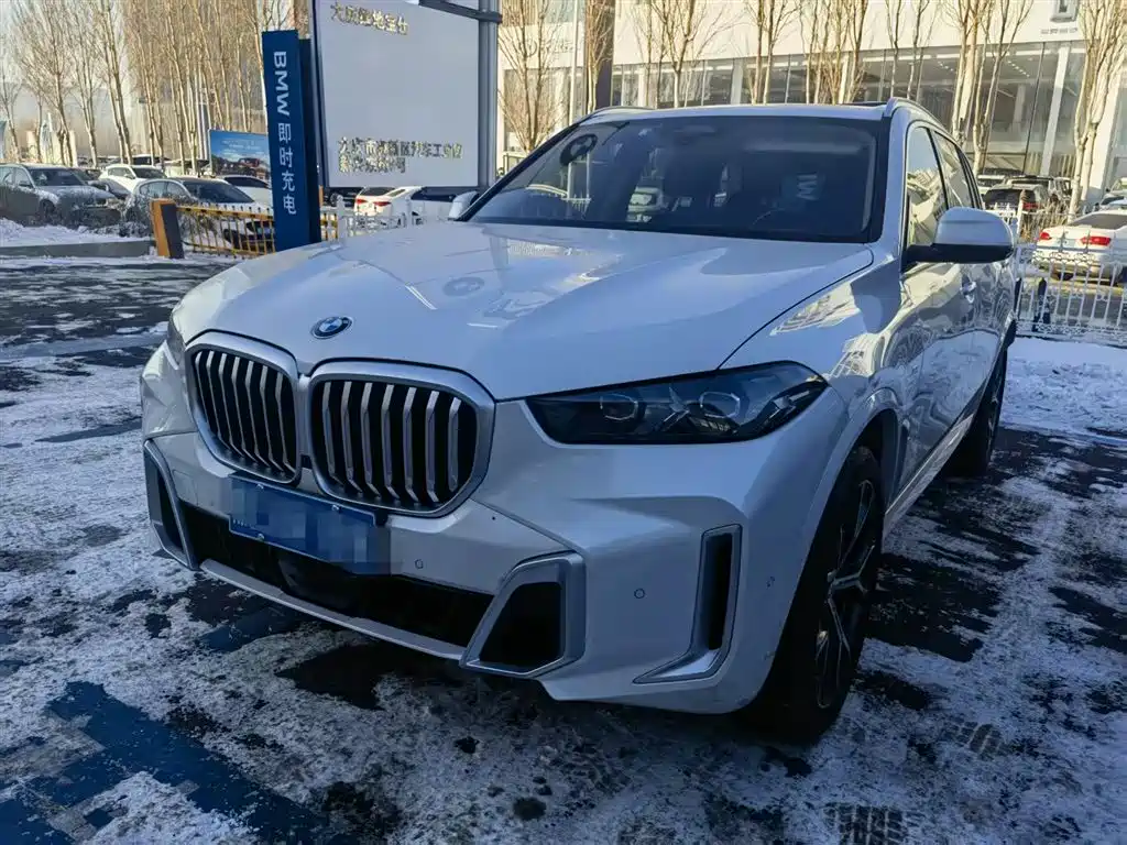 BMW X5 2024