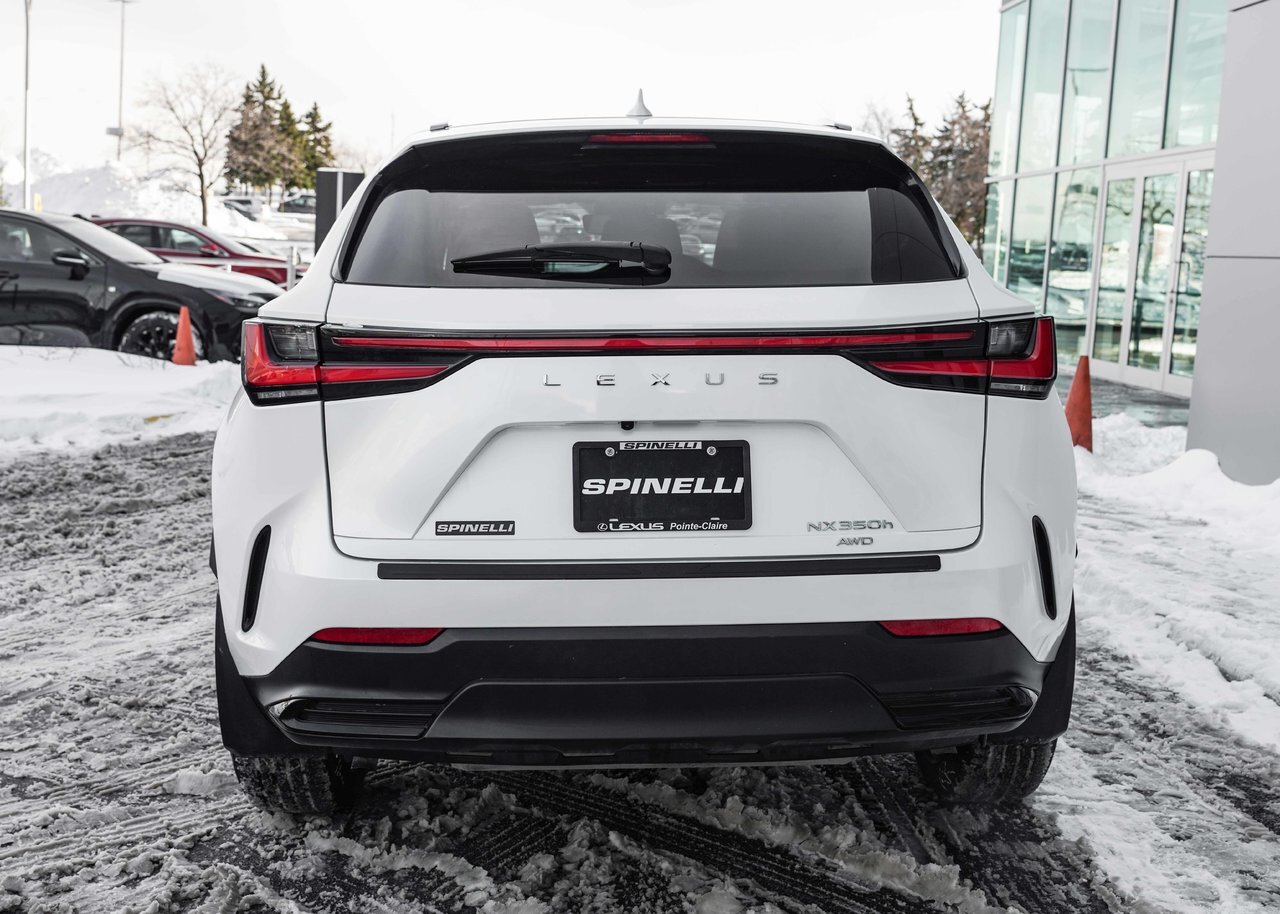 Lexus NX 2022
