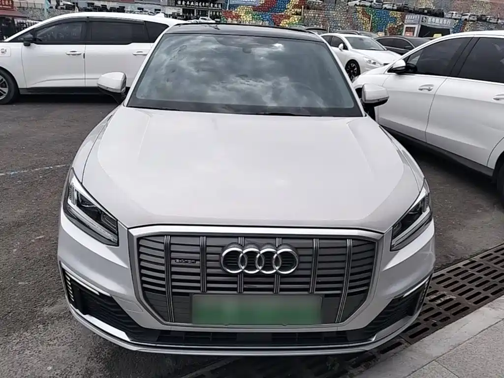 Audi e-tron 2021