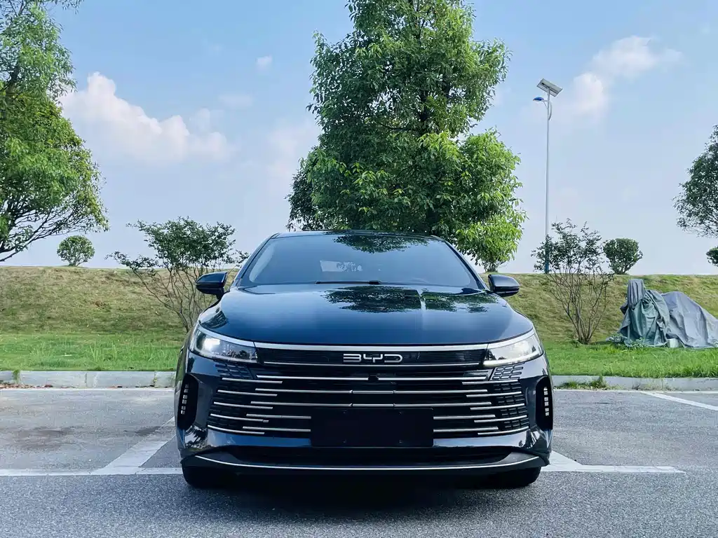 BYD Destroyer 05 2024